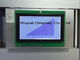 Módulo feito-à-medida do LCD da ESPIGA do luminoso dos pontos de Digitas FSTN 240X128 da exposição gráfica do LCD instrumento industrial