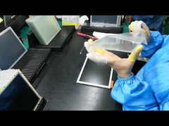 Fabricante de TFT LCD