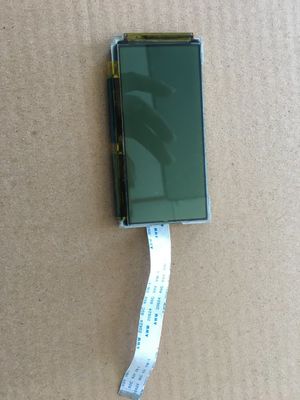 o caráter positivo da ESPIGA de 256X128 FSTN indica o conector S1D13700 de FFC