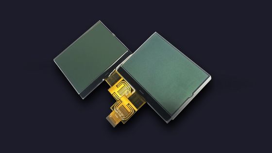 O segmento positivo de FSTN UC1698 LCD 7 indica o módulo gráfico do LCD da roda denteada 160X160