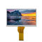 O brilho alto alto LCD do painel LVDS 1024x600 do LCD do brilho almofada 1.90W 7,0&quot; TFT