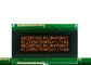Módulo do LCD do caráter de DFSN 20x4 com Inglês-Japonês do luminoso do diodo emissor de luz